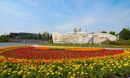 Odoo图像和文字块